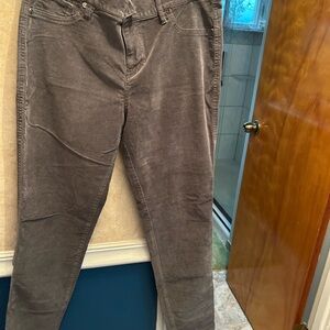New York & Company Charcoal Corduroy Pants